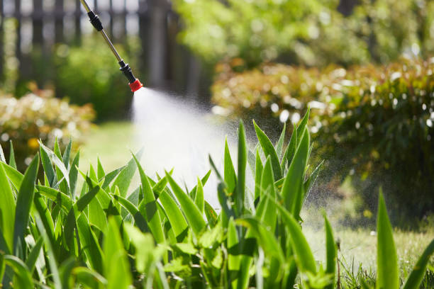 24/7 Emergency Mosquito Control experts in Bellevue, KY