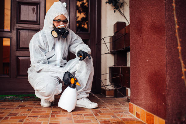 Reliable Mosquito Control contractor in Bellevue, KY by Show Me Pest Control
