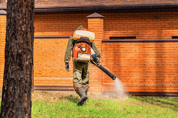 Top rated local Mosquito Control specialists in Bellevue, KY